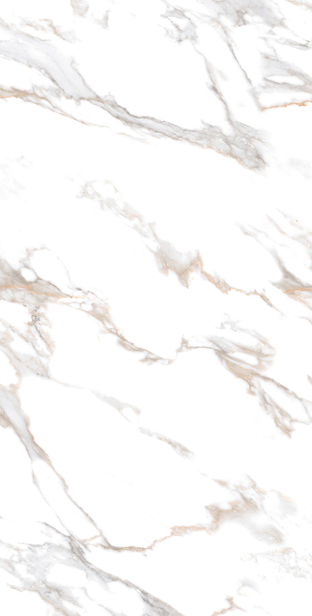 CALACATTA GOLD — Элегантность мрамора в вашем интерьере CR4019-A Arcadia Ceramica - Вид №1