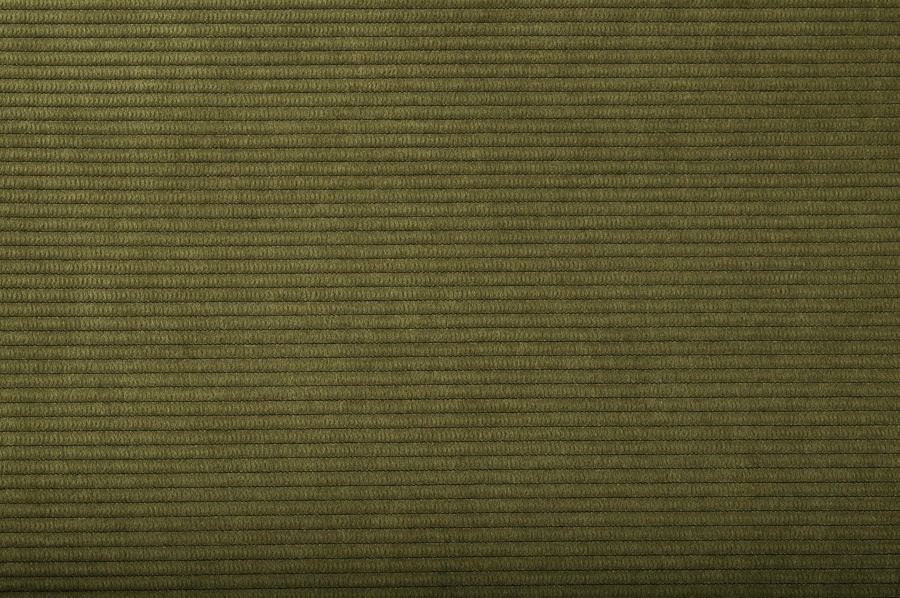 Стул Ridge Brushed Rib зеленый Zuiver 1100086 - Вид №4