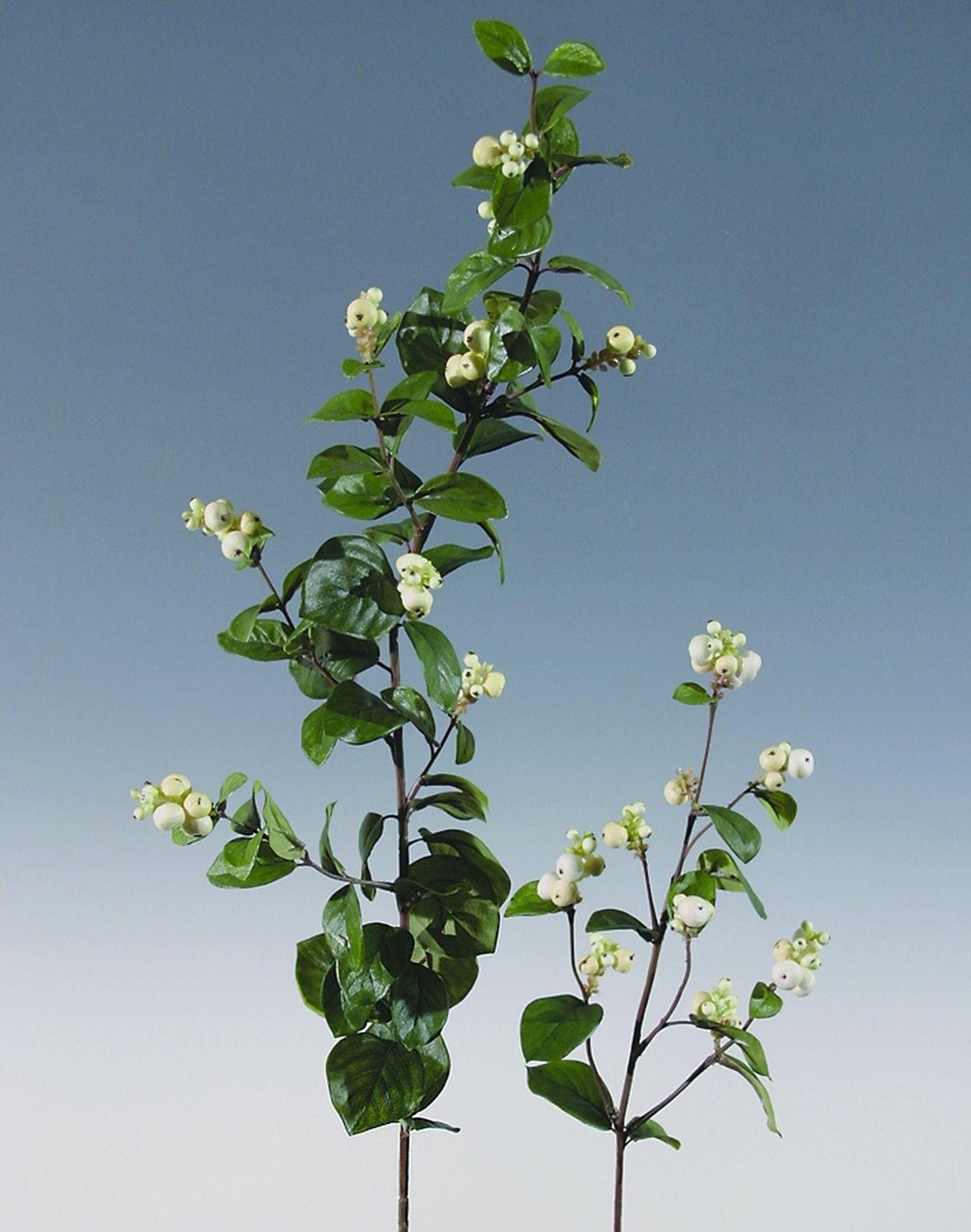 3769 777 a2 Стебель искусственной снежной ягоды, 96 см, белый H-andreas  - Вид №2