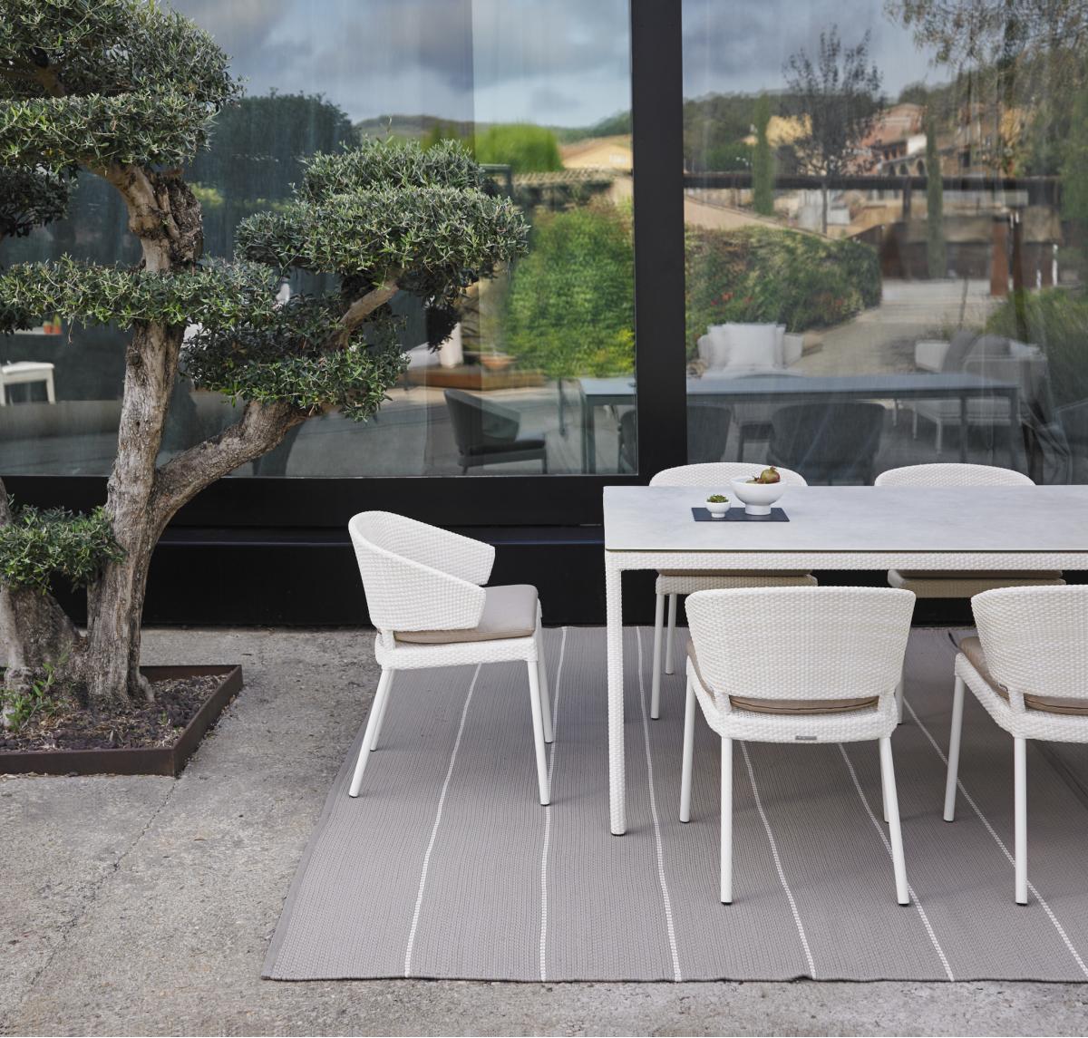 106808 Кресло обеденное Point Fennec POINT1920  - Вид №4