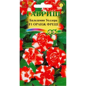 Бальзамин Оранж фреш Уоллера махр. 5 шт 82097831 STLM-2156973