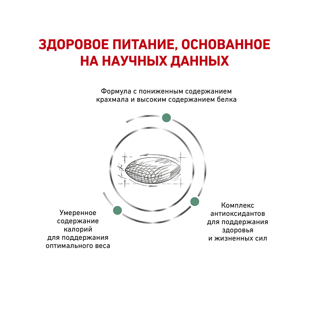 Т0023146 Корм для кошек Vet Diet Diabetic DS46 при сахарном диабете, птица сух. 1,5кг ROYAL CANIN  - Вид №3