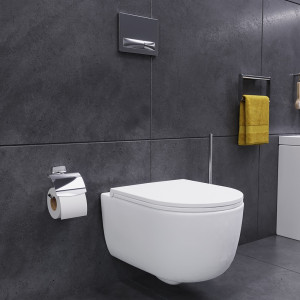 DX86C1700SC подвесной унитаз безободковый с сиденьем микролифт Damixa Sirius