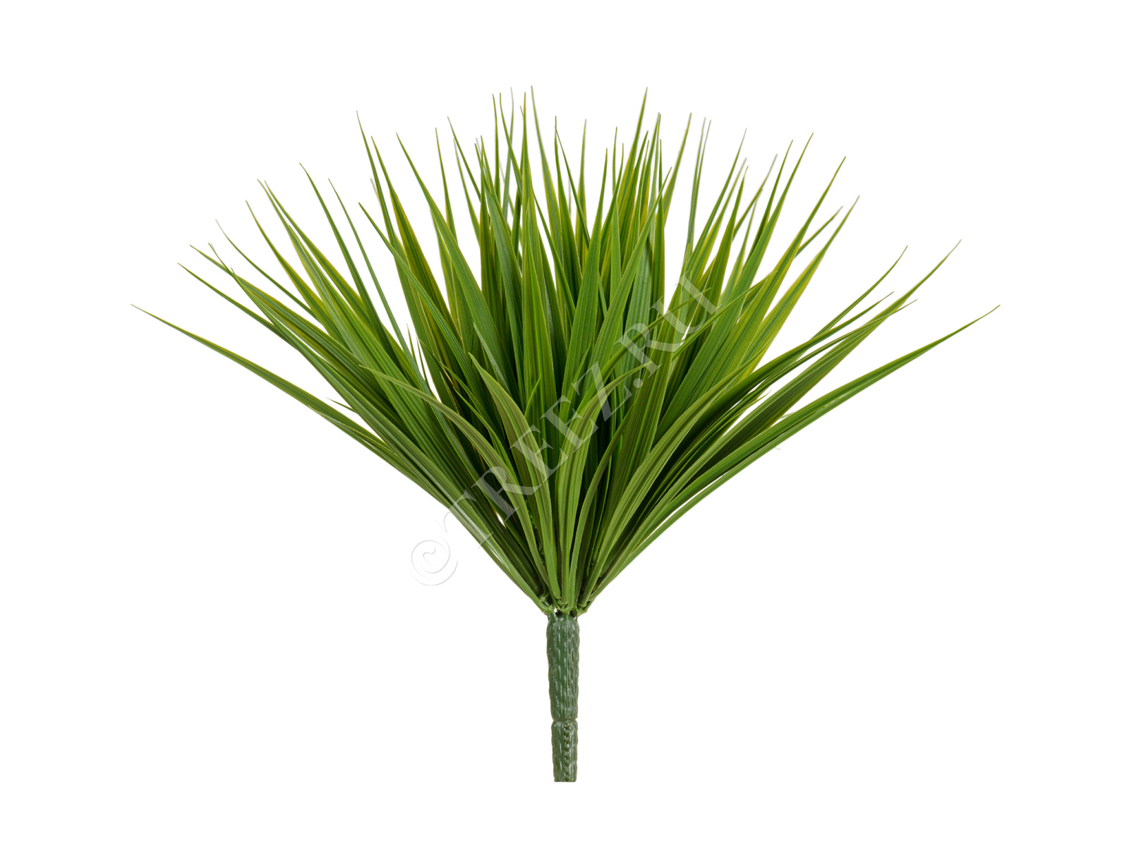 20.6330N Трава Литл Сворд куст зелёный Цветочная коллекция 