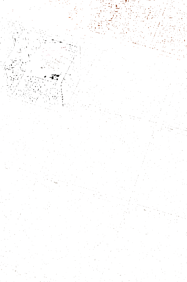 L’ALTRA PIETRA Пол под камень для внутреннего и наружного применения Duomo sun-id-1369214 - Вид №3