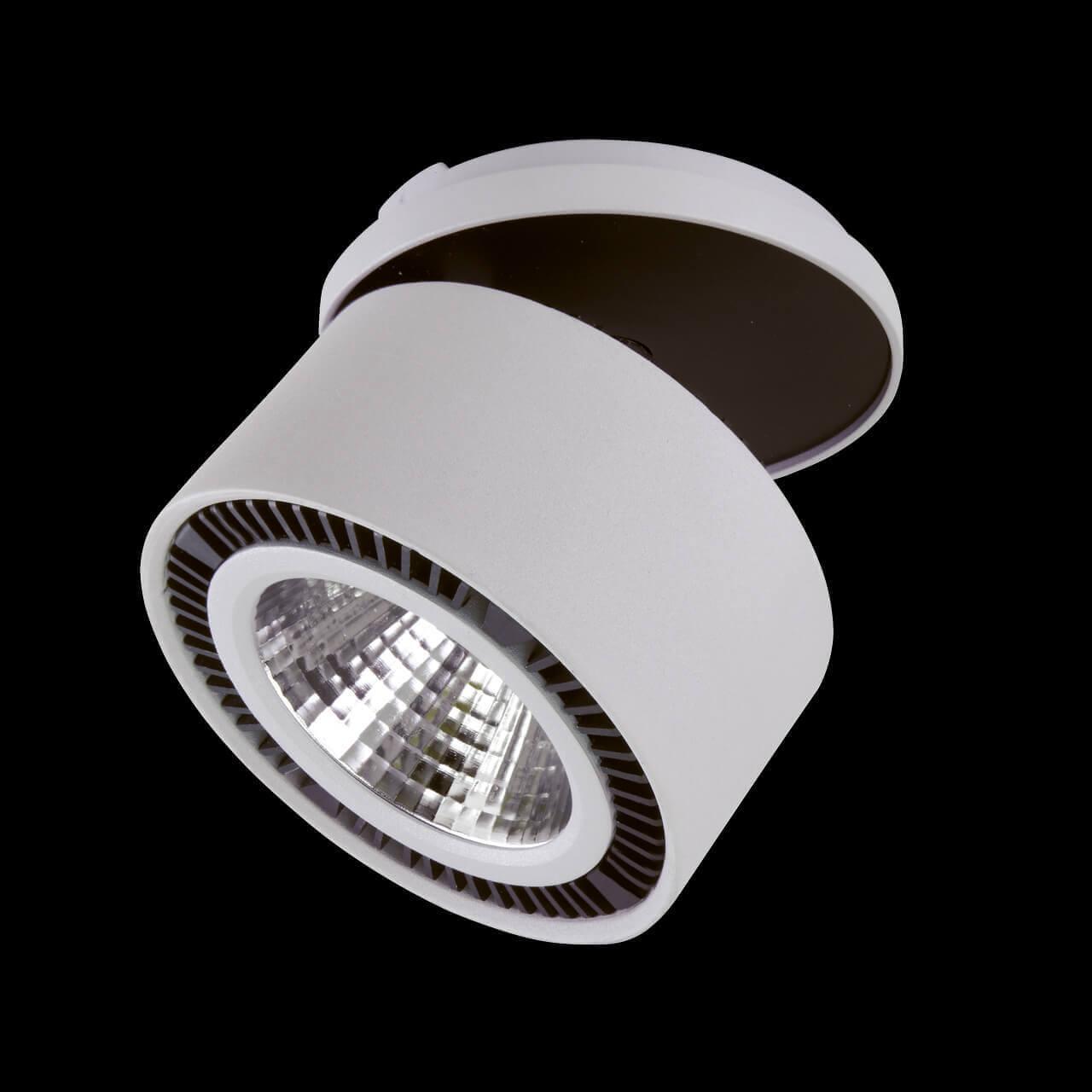 Встраиваемый спот серый Lightstar Forte Inca 213829 LIGHTSTAR FORTE INCA 00-3923626 Серый  - Вид №2