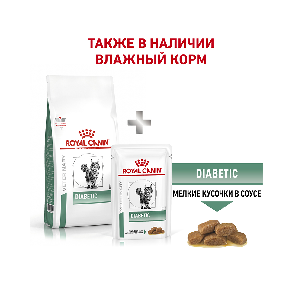 Т0023145 Корм для кошек Vet Diet Diabetic DS46 при сахарном диабете, птица сух. 400г ROYAL CANIN  - Вид №5