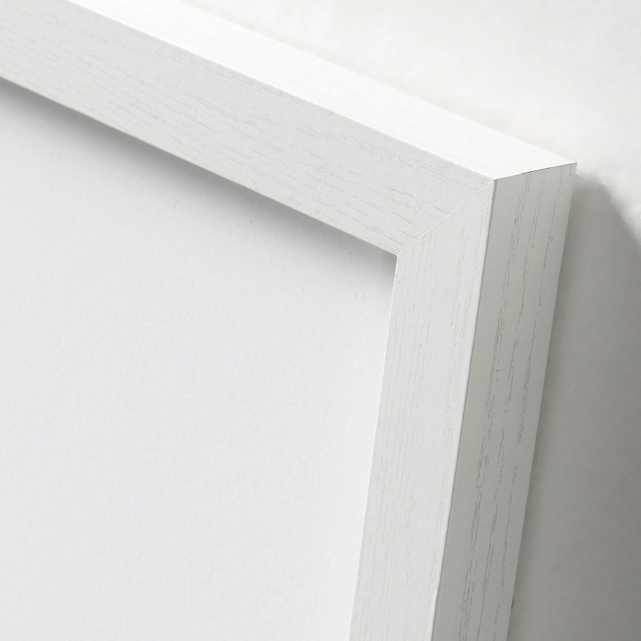 Постер на стену черный с белым кактус в рамке Amit от La Forma LA FORMA ДИЗАЙНЕРСКИЕ, AMIT 00-3865148 Белый;черный  - Вид №2