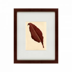 Картина в раме 52х42 см The dark red leaf, 1881 КАРТИНЫ В КВАРТИРУ  135660 Коричневый;красный