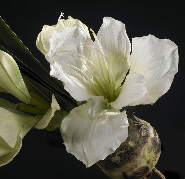 VGnewtrend Искусственное растение из полиэстера  1001439.95  - Вид №1