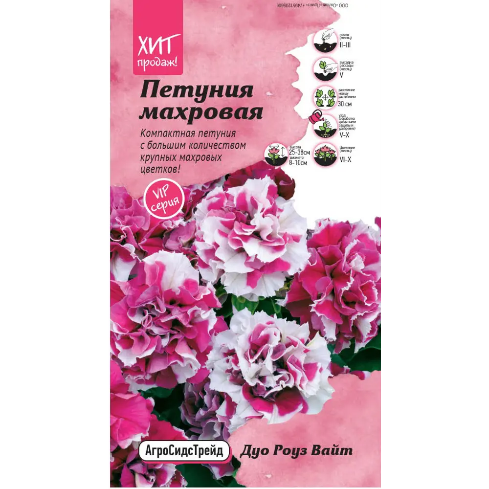Семена цветов Агросидстрейд петуния махровая Дуо Роуз Вайт STLM-2144988