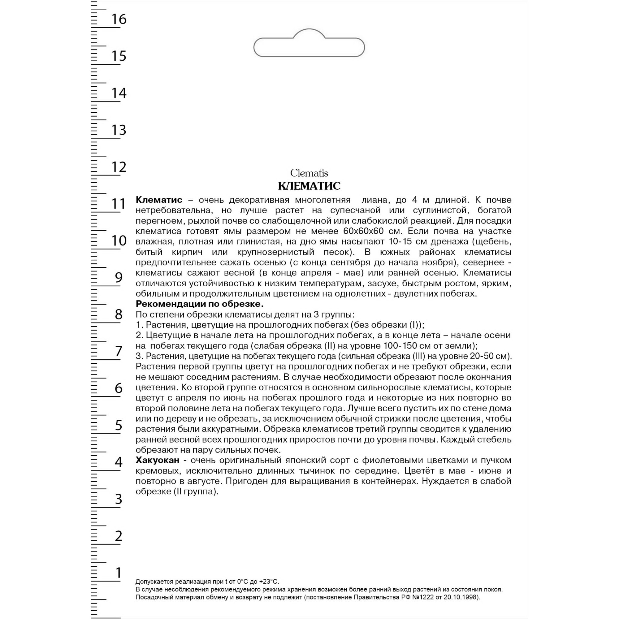 82527588 Клематис крупноцветковый Хакуокан в капере Santreyd  - Вид №1