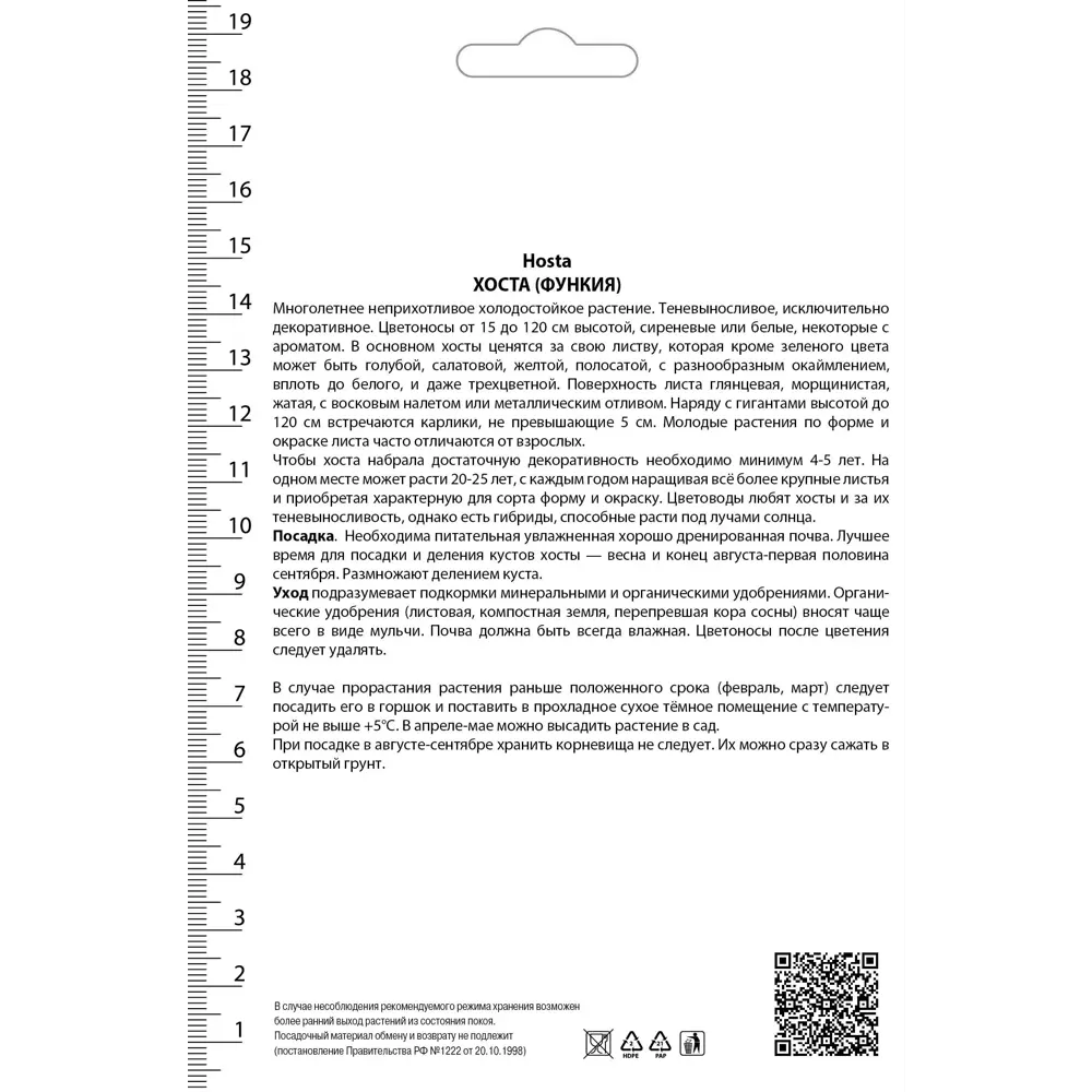 Хоста Зибольда Фрэнсиз Уильямс 82530278 STLM-2069170 Santreyd  - Вид №1