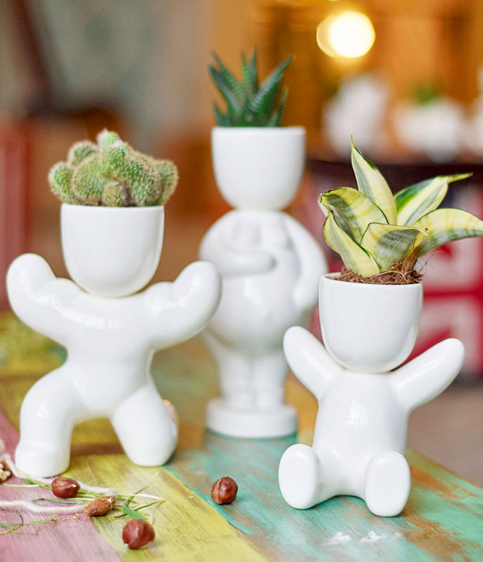 Набор для выращивания Eco Малыш ЭКОЧЕЛОВЕКИ 1002 - Вид №6