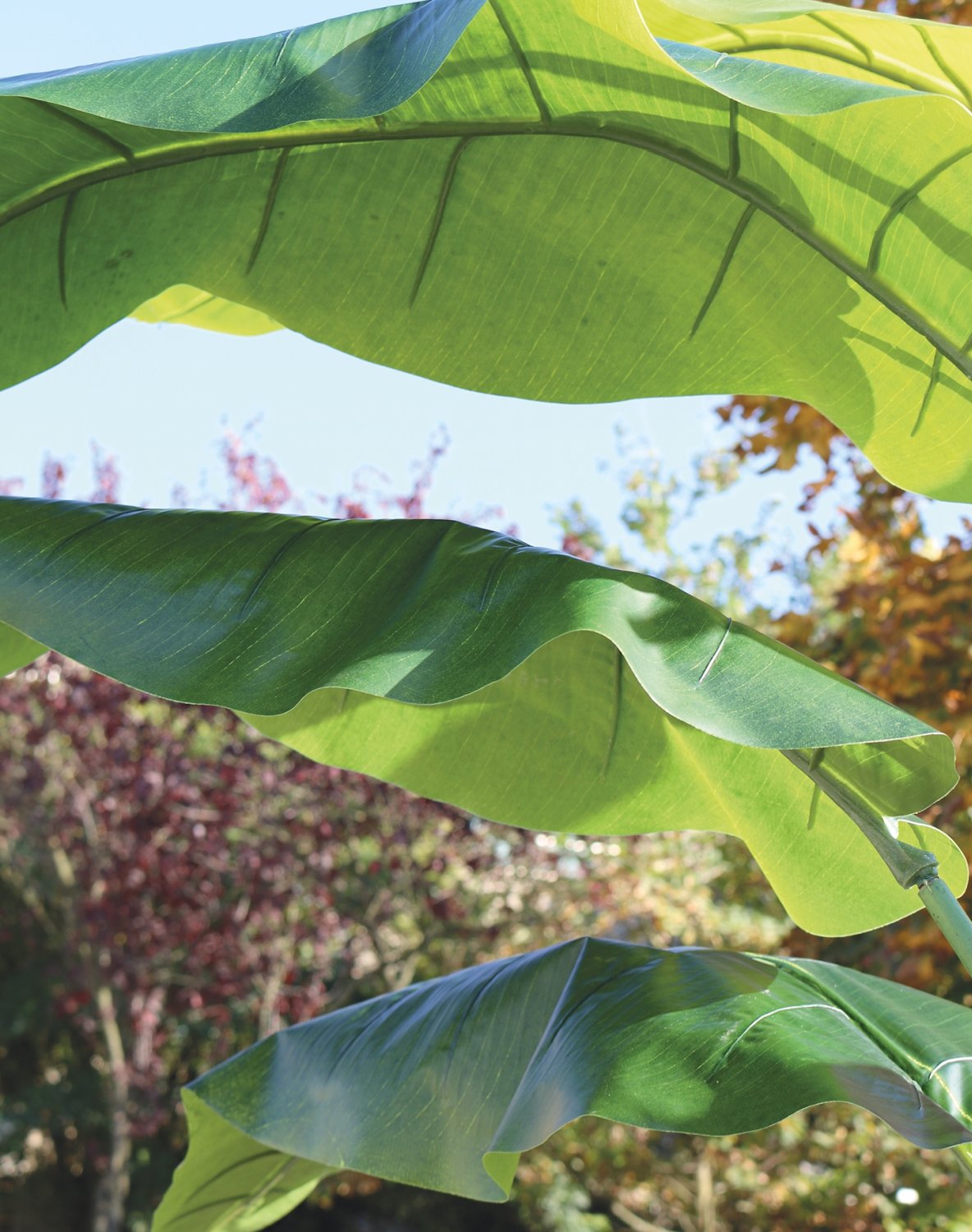 5895 883 a3 Искусственная геликония, горшечная, 300 см, зеленая H-andreas  - Вид №2