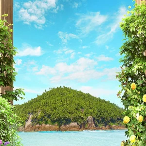 B1-008 Фотообои DIVINO Collection B 2.7х1 м