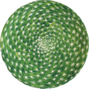 10640796 Taitu Тарелка акцентная Taitu "Кактусы" 23см Фарфор костяной