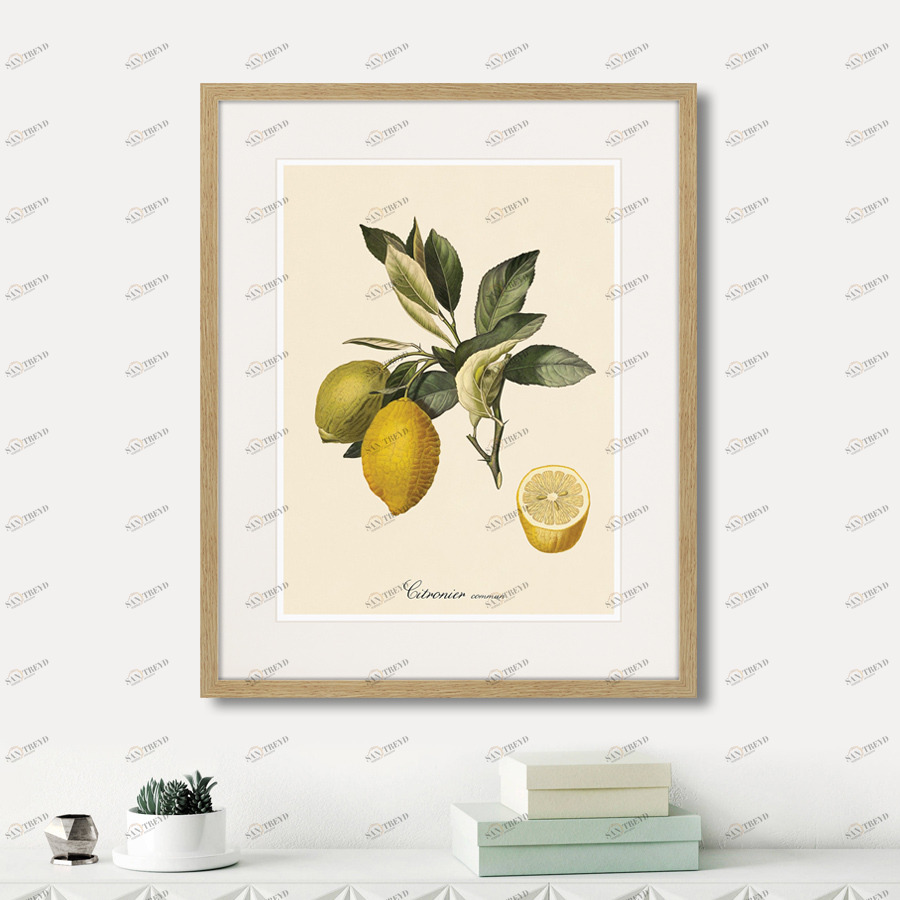 Литография на тонированной бумаге 52х42 см Juicy fruit lithography №3, 1870г. КАРТИНЫ В КВАРТИРУ  264434 Бежевый;белый;зеленый;разноцветный 