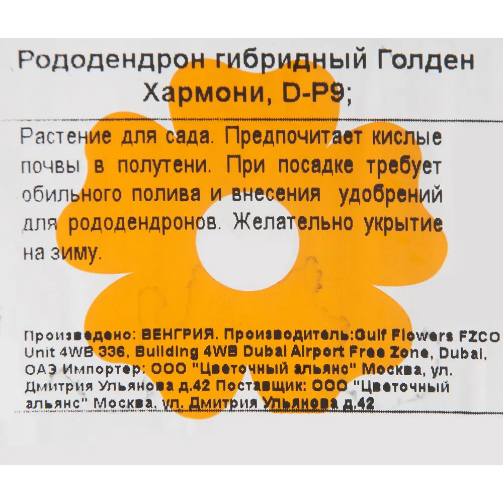 Рододендрон гибридный «Голден Хармони» 9x20 см 82601869 STLM-2156454 Santreyd  - Вид №1