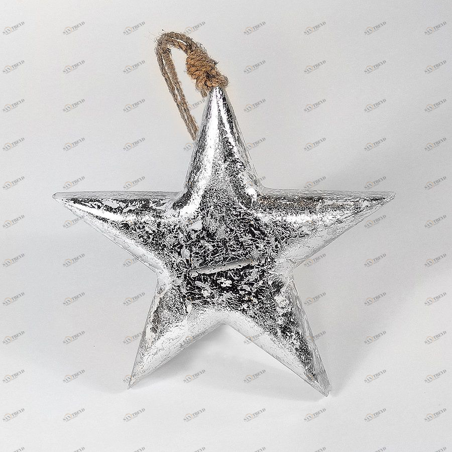 Фигурка декоративная Snow Star, подвесная, 15х15х2,5 см Enjoyme ENNY0014