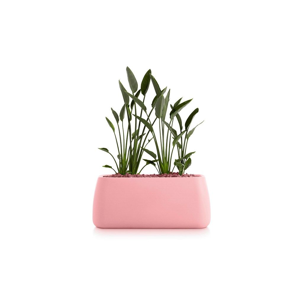 Прямоугольная плантатор Diabla ARCH-00112385 - Вид №4