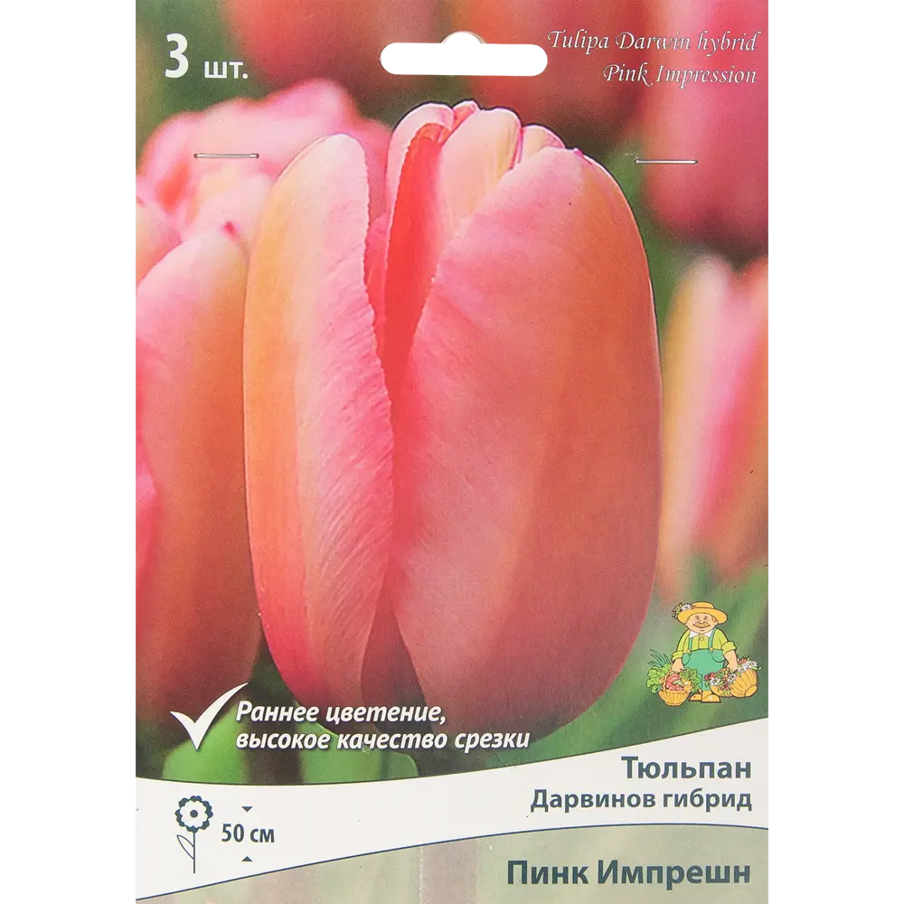 Тюльпан Пинк Импрешн ПОИСК - нежные розовые бутоны для сада, 3 луковицы 85205537 STLM-1577491