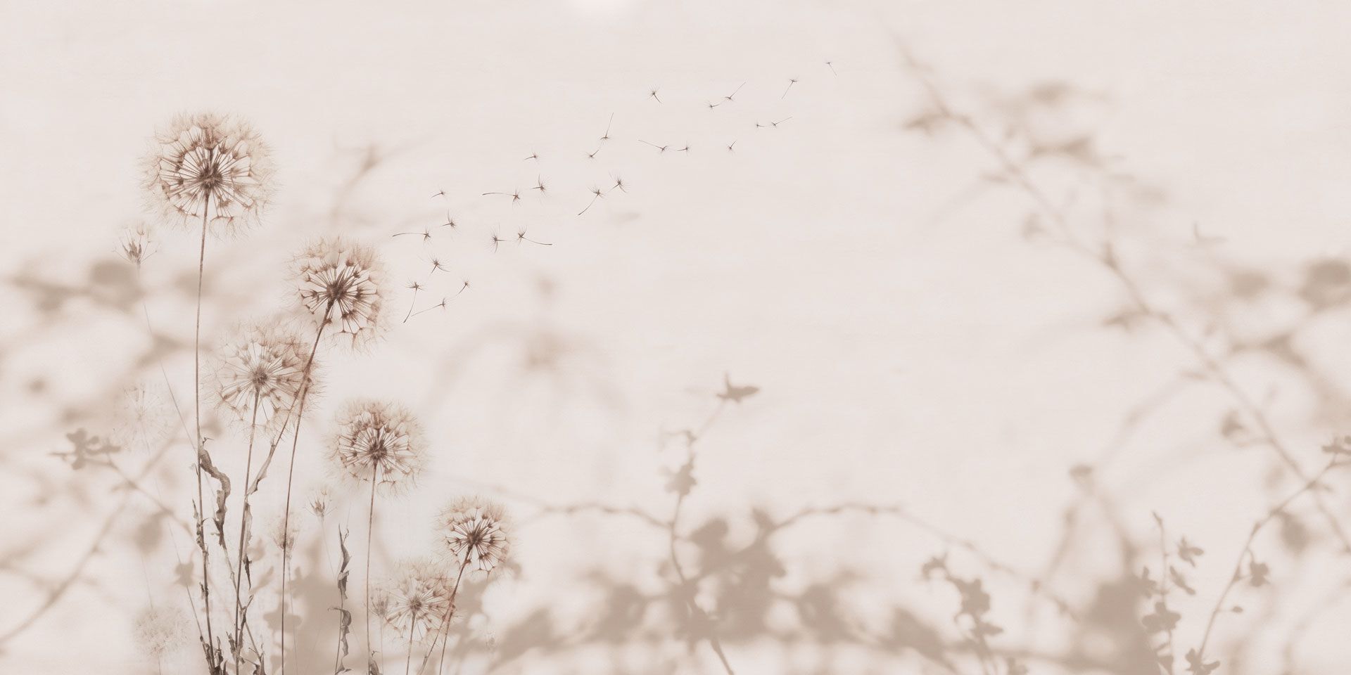 Обои с цветочным узором Rimura 2024 ARCH-00127163 - Вид №6