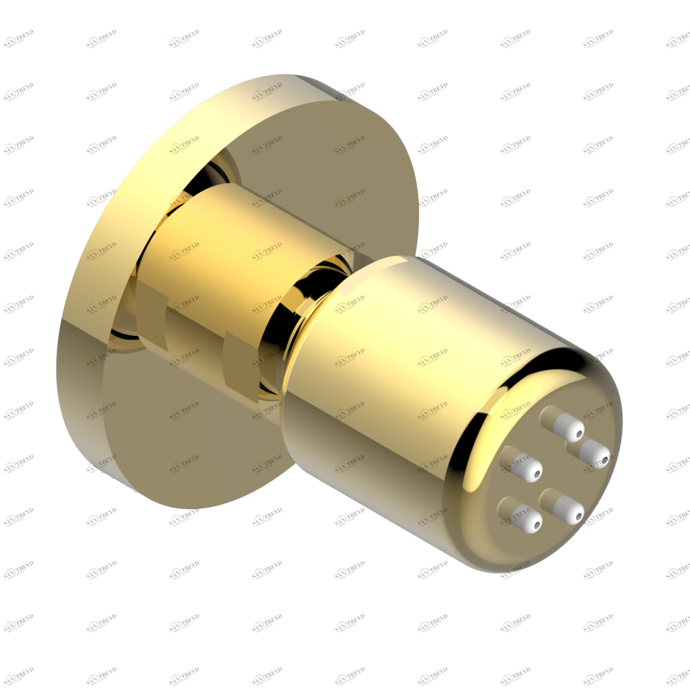 U5B-290/B Форсунка гидромассажная встраиваемая в стену 1/2" с защитой от жёсткой воды Thg-paris Island Покрытие PVD золотистый цвет U5B 290/B CAT.F