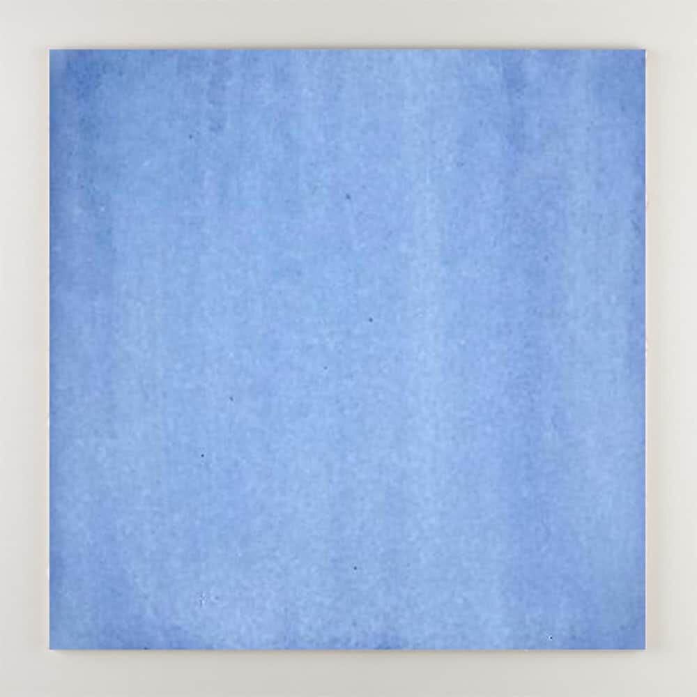 Пол / покрытие ручной работы La Riggiola одноцветный ARCH-00131013 - Вид №18