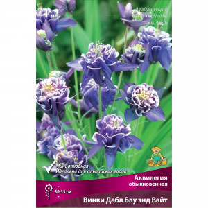 83598126 Аквилегия обыкновенная Винкидабл Блу Энд Вайт луковица I