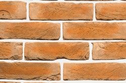 Арагон 1-08-05