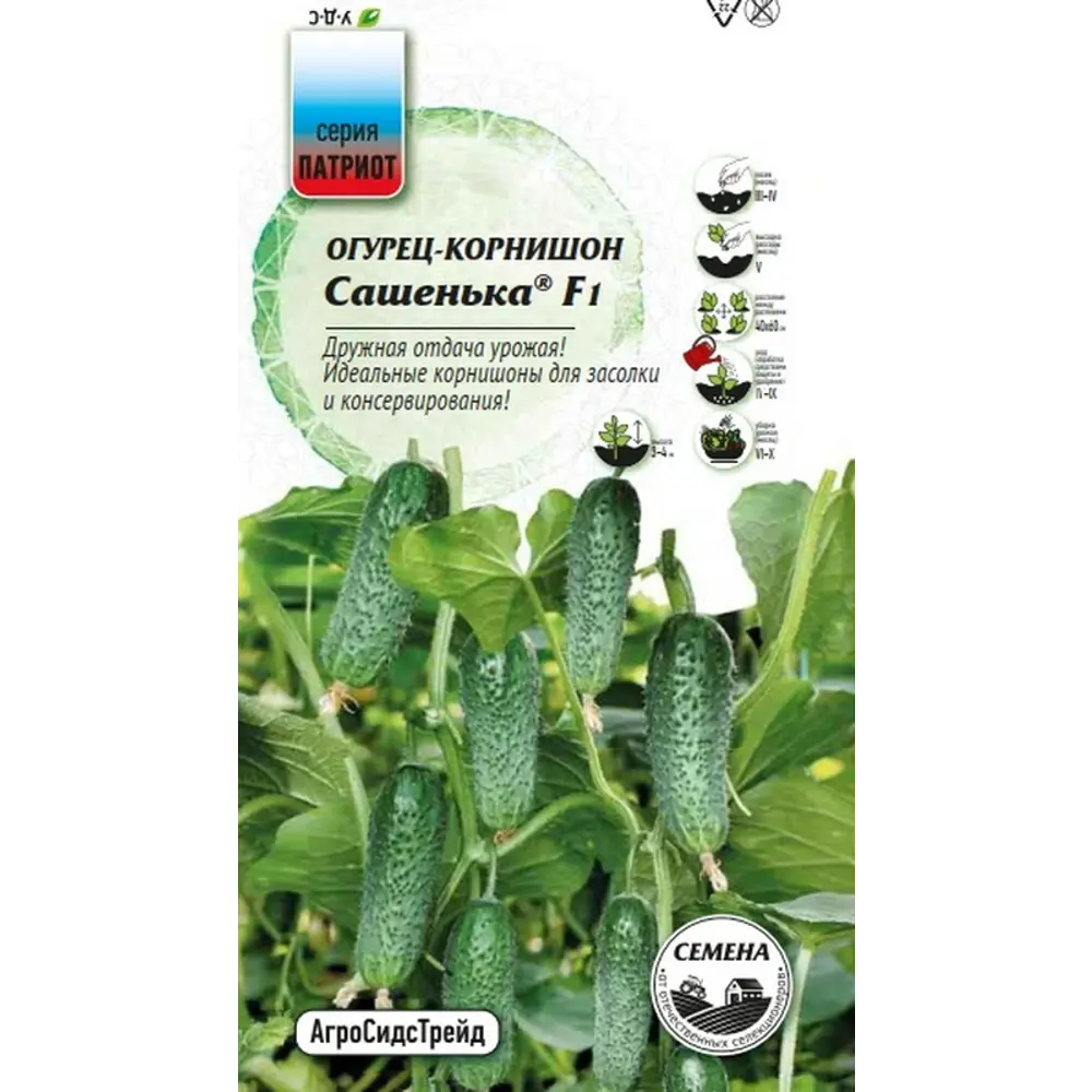 Семена овощей Агросидстрейд Патриот огурец корнишон Сашенька F1 STLM-2168066