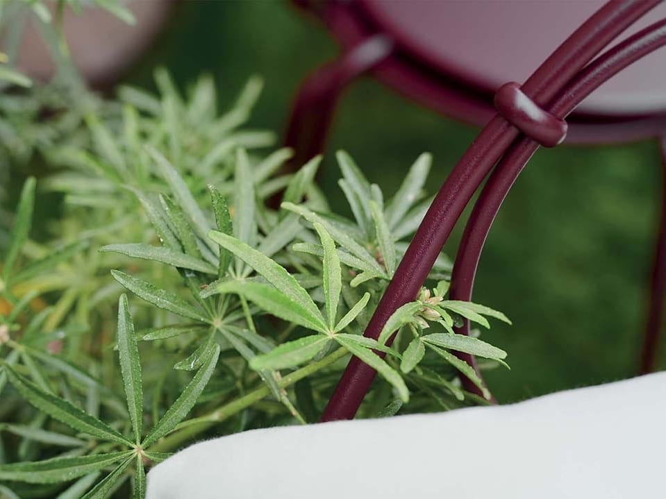 Стальной садовый стул Fermob 1900 ARCH-00054904 - Вид №1