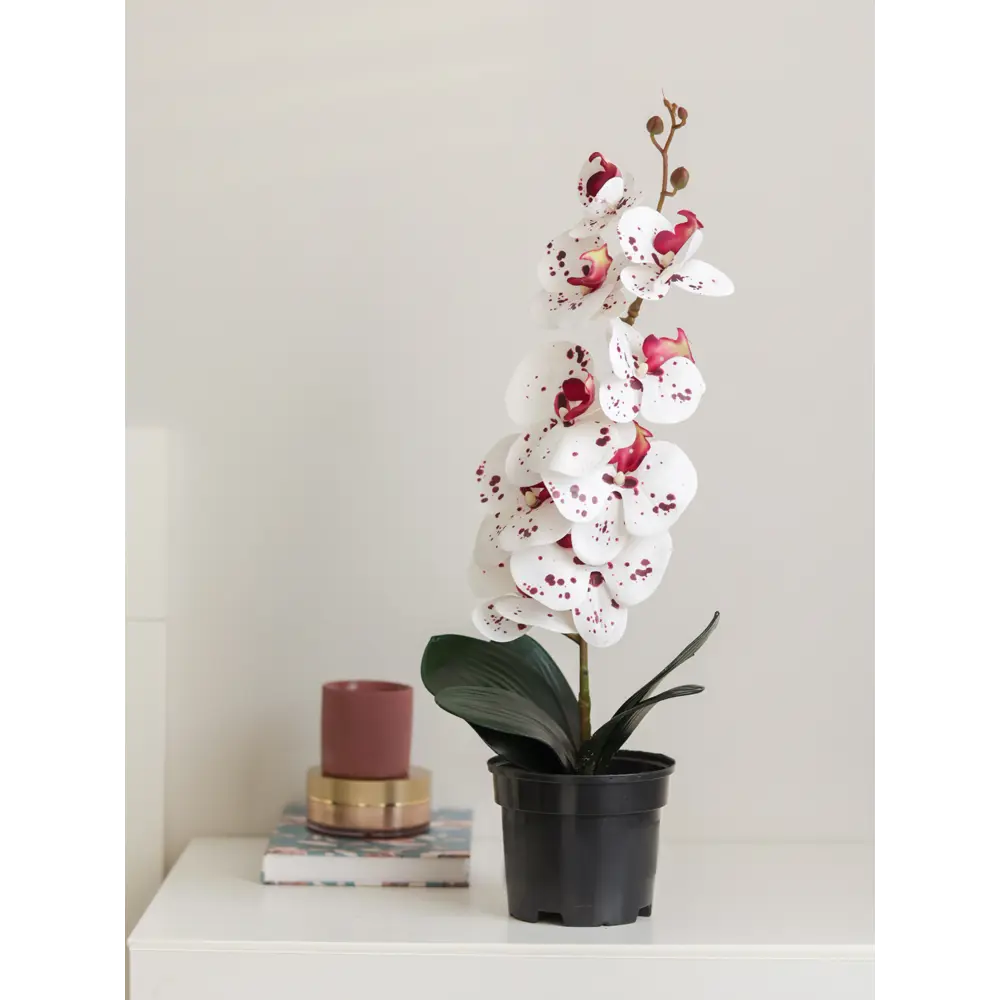 89356247 Искусственное растение в горшке орхидея h50 см цвет тигровый STLM-0951485 Santreyd  - Вид №4
