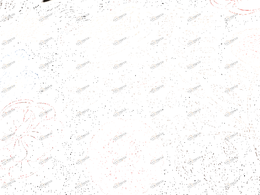 Equipo DRT Ткань с цветочными мотивами  21199 