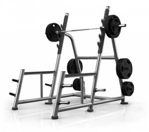 A81 a81 рама для приседов MATRIX Magnum