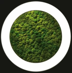 Sattler Настенный светильник из сухого мха Luce verde