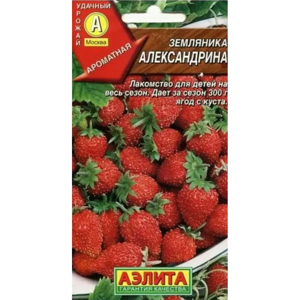 Земляника «Александрина» 13881775 STLM-2171145 Santreyd 