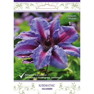 Клематис крупноцветковый Акаиши h15 см 83431362 STLM-2106682