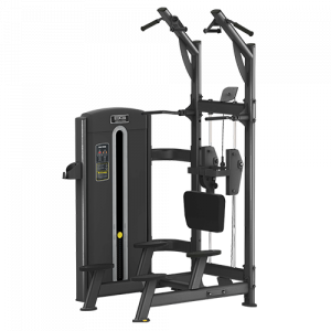 M05-008 Bronze gym -008 гравитрон Bronze Gym M05