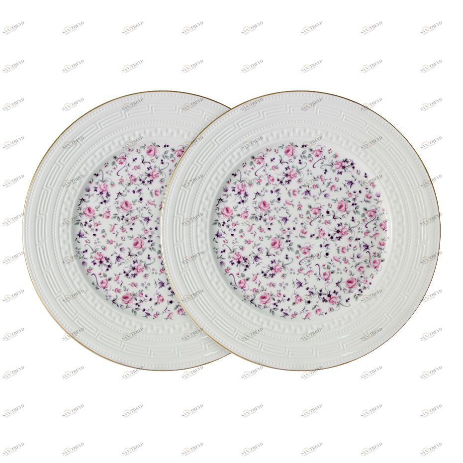 Тарелки фарфоровые обеденные 2 шт бело-розовые "Стиль" COLOMBO СТИЛЬ 00-3946481 Белый;розовый