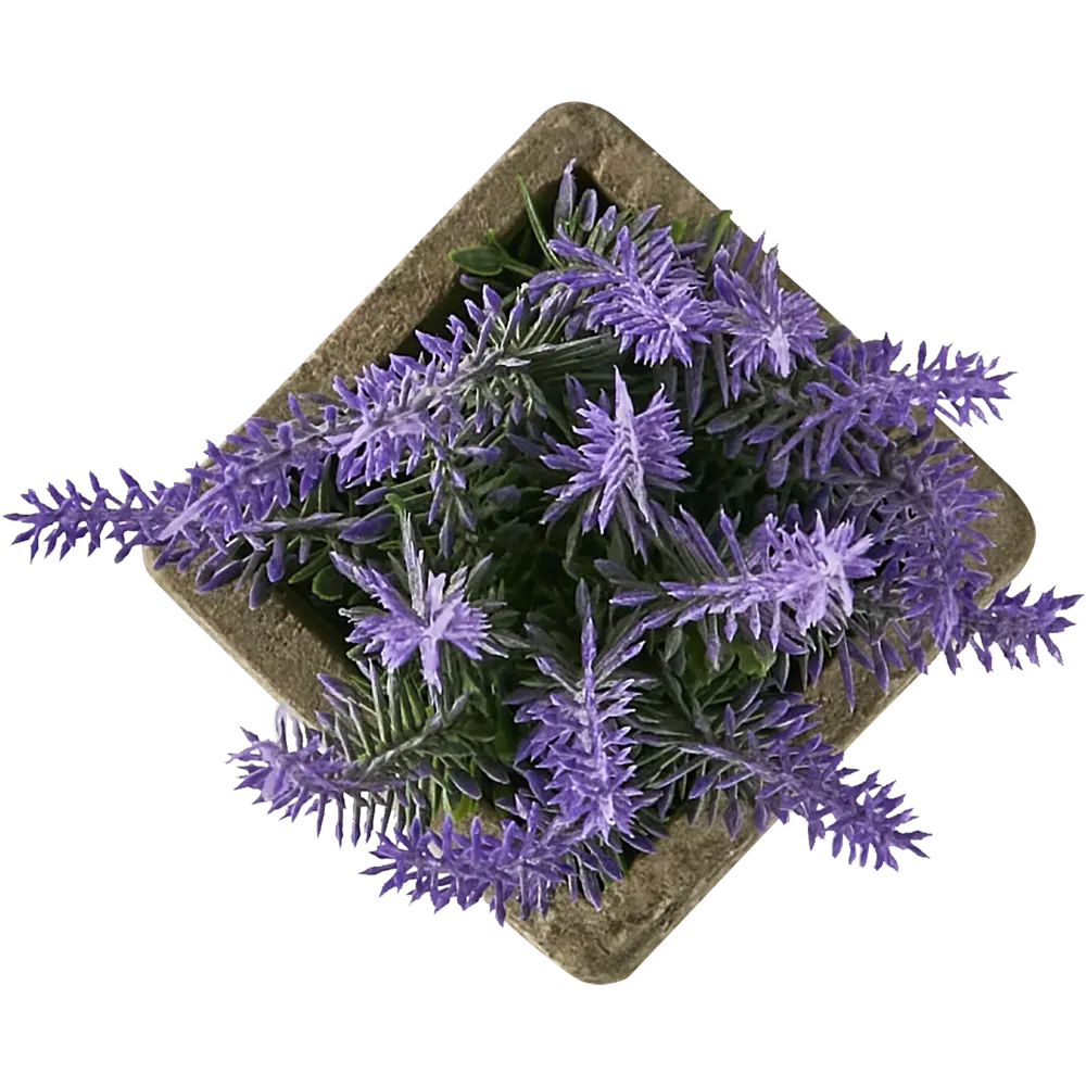 88999727 Искусственное растение Лаванда пластик 16 см STLM-0816836 Santreyd  - Вид №1