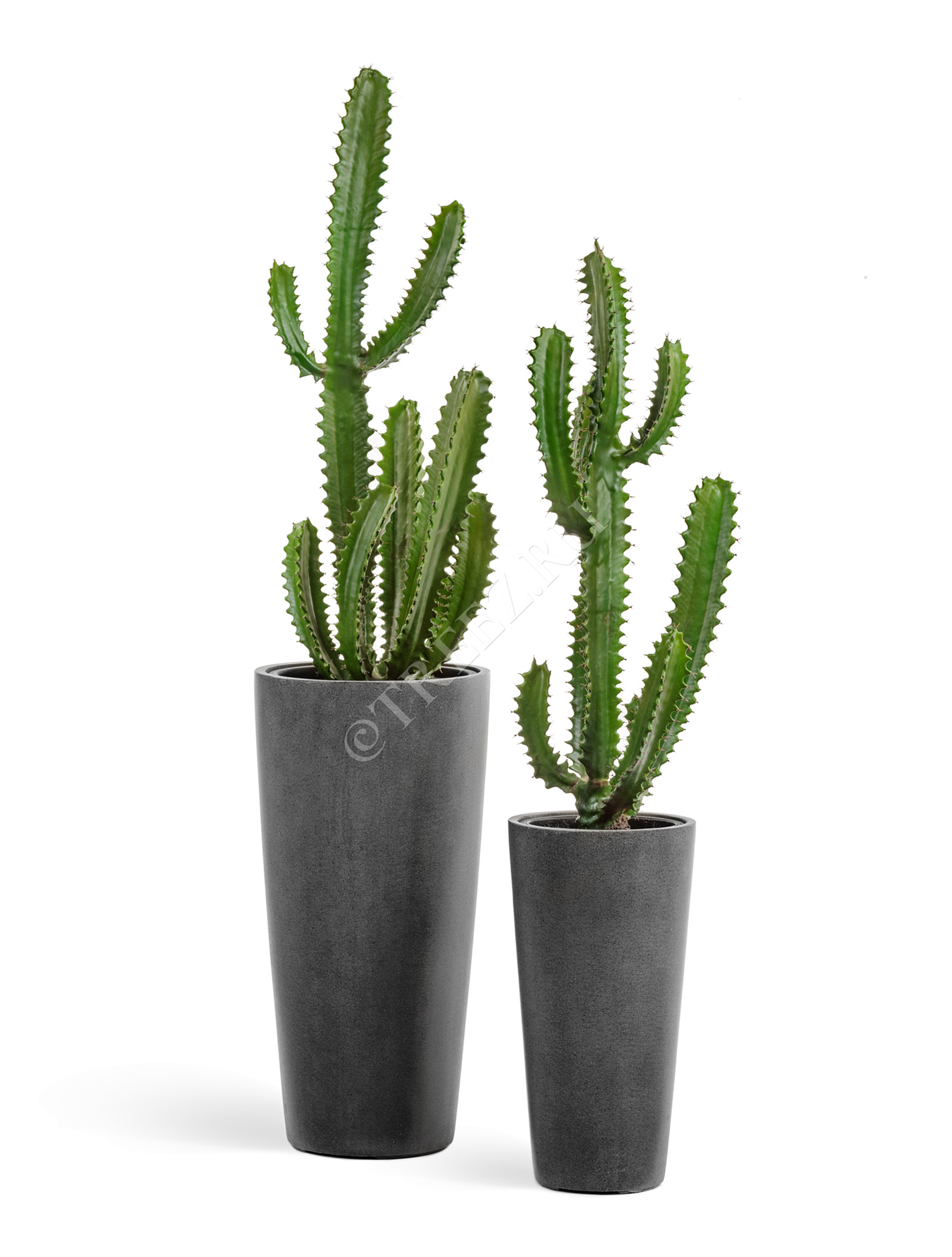 41.3319-02-020-GR-90 Кашпо  Effectory - серия Beton - Высокий конус - Тёмно-серый бетон Цветочная коллекция  - Вид №6