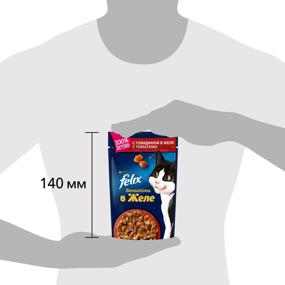 ПР0026299 Корм для кошек Sensations с говядиной в желе с томатами, пауч 85 г FELIX  - Вид №9