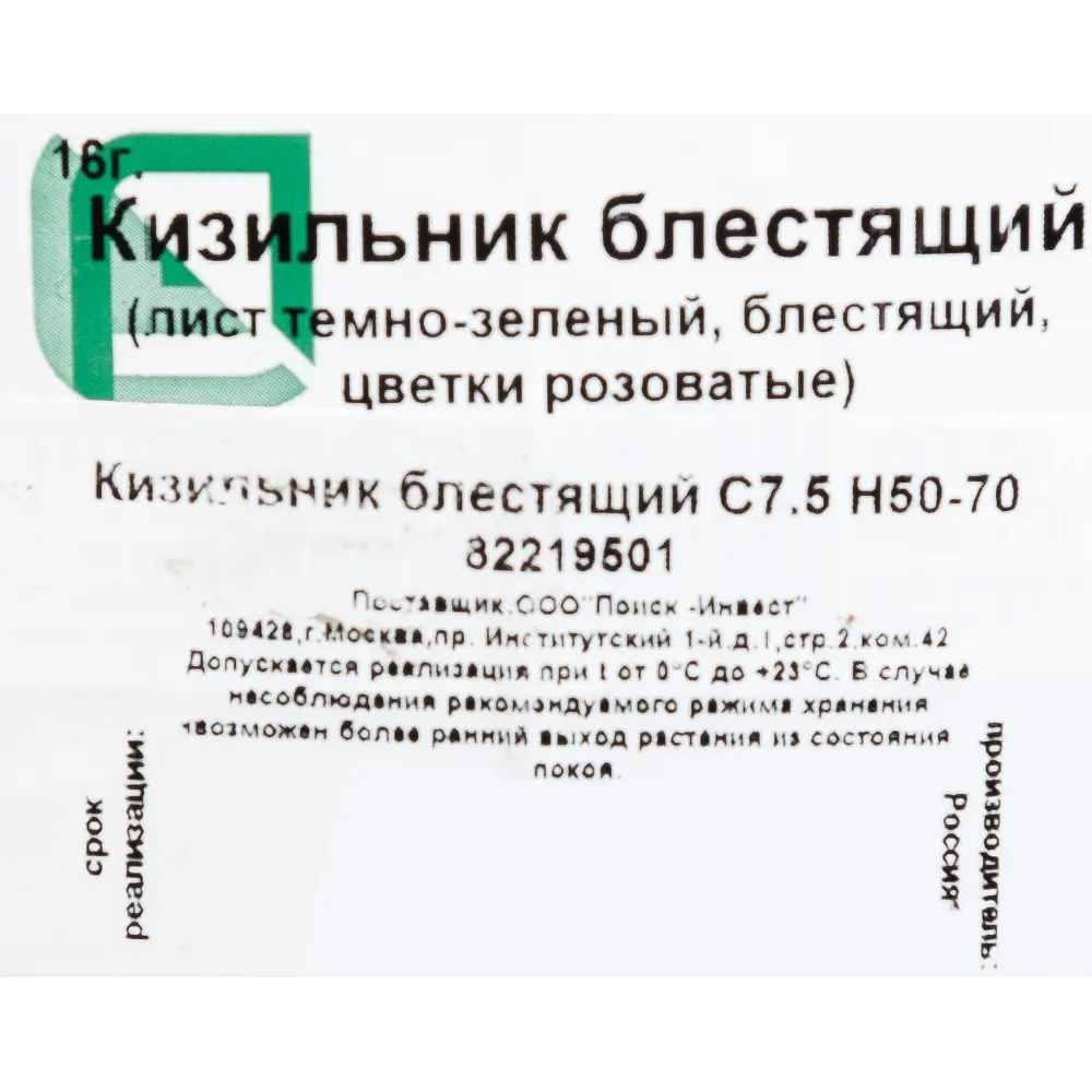 Кизильник блестящий 7.5 л h50-70 см 82219501 STLM-2064344 Santreyd  - Вид №1