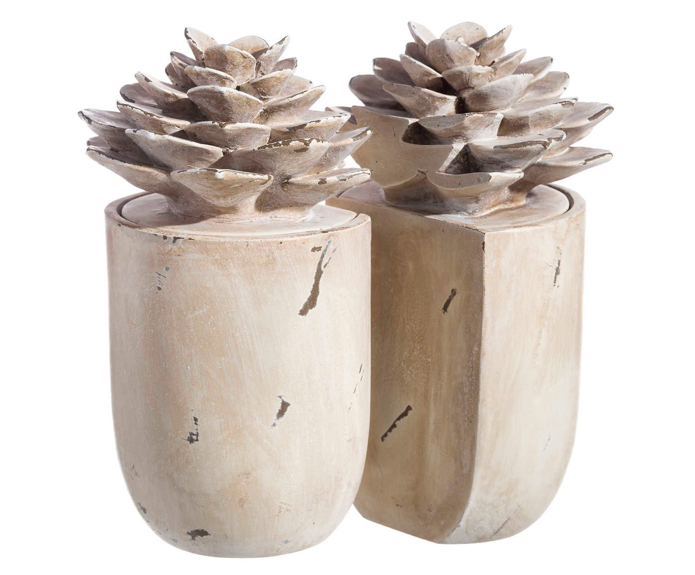 DZ-104-752 ОГРАНИЧИТЕЛИ ДЛЯ КНИГ CACTUS TO4ROOMS 