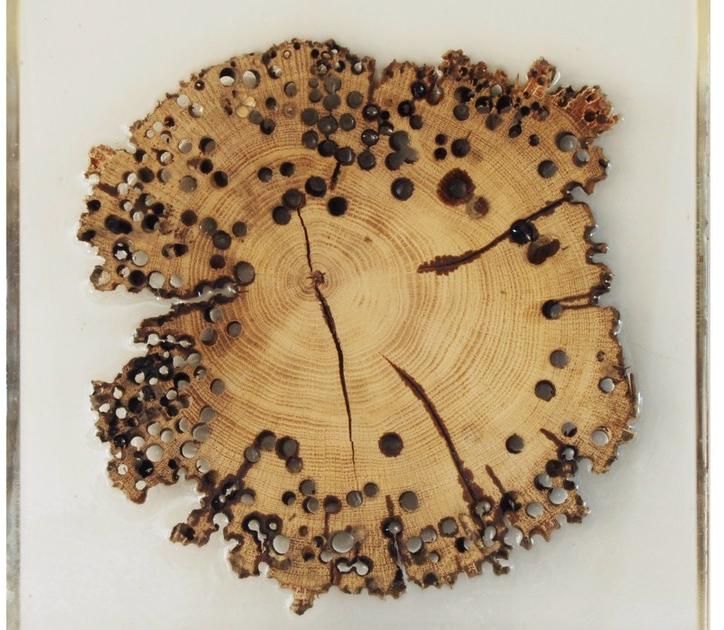 ANTICO TRENTINO Декоративная панель из дерева Briccola Briccole sun-id-1394614 - Вид №2