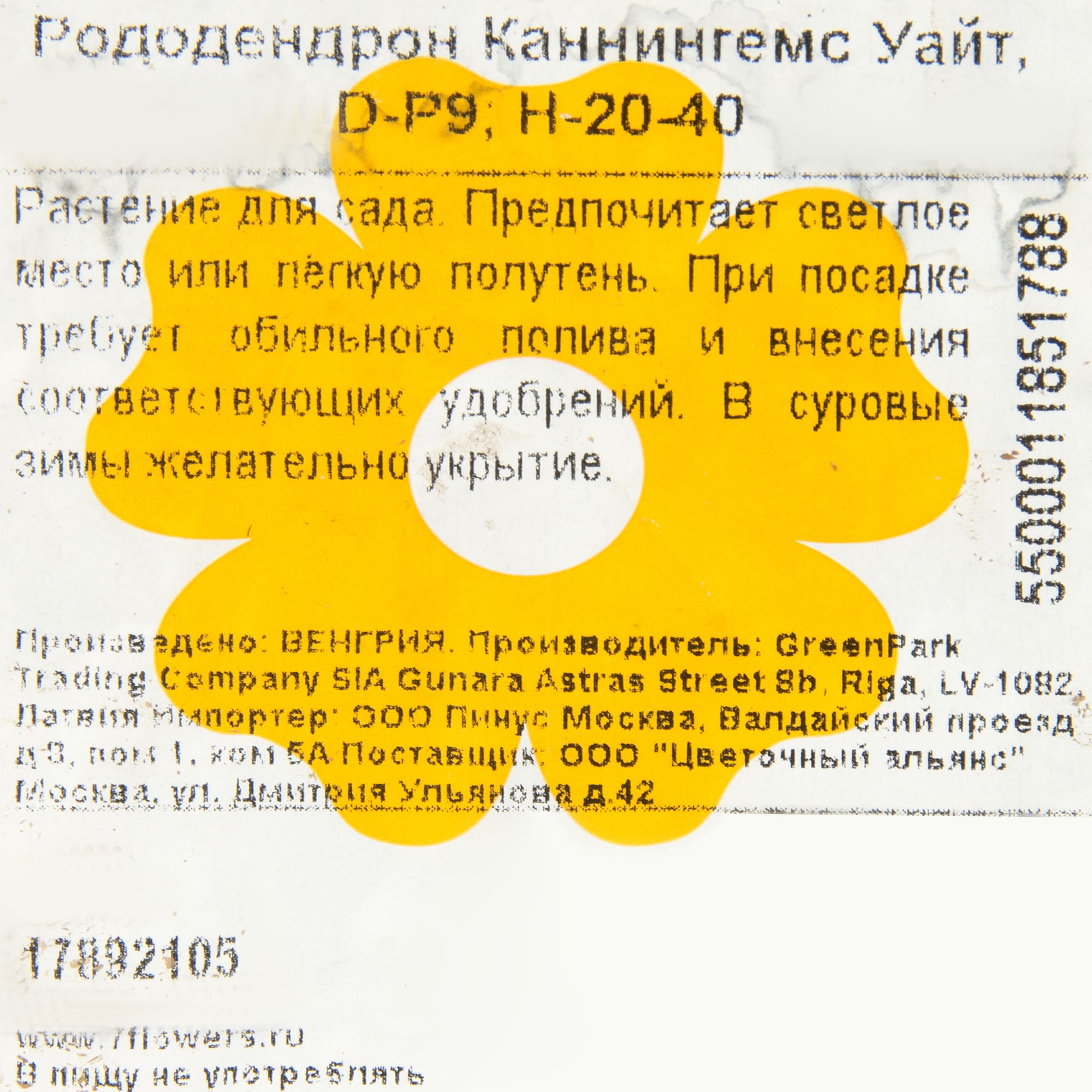 17892105 Рододендрон Каннингемс Уайт P9 Santreyd 