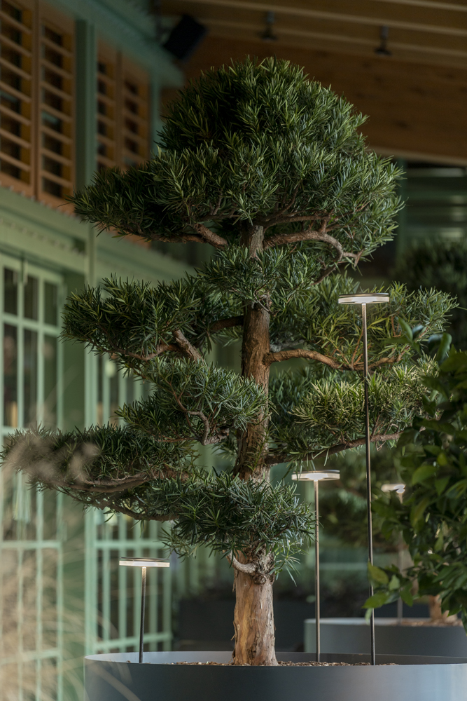 9402316 Мобильный светильник Platek CHIODO Picchetto (mobile)  CHIODO h. 1700 mm - LED 3000K 93°  - Вид №8