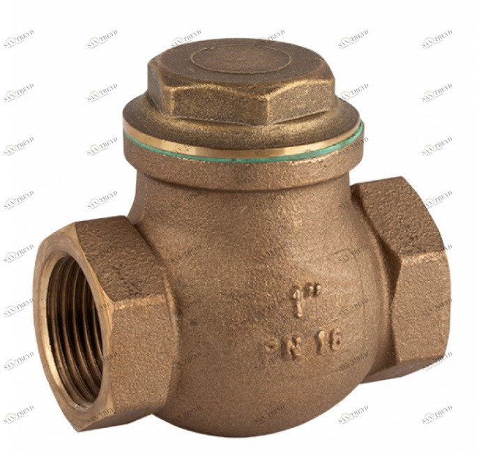 GENEBRE 3186 05 Поворотный обратный клапан из ПТФЭ 